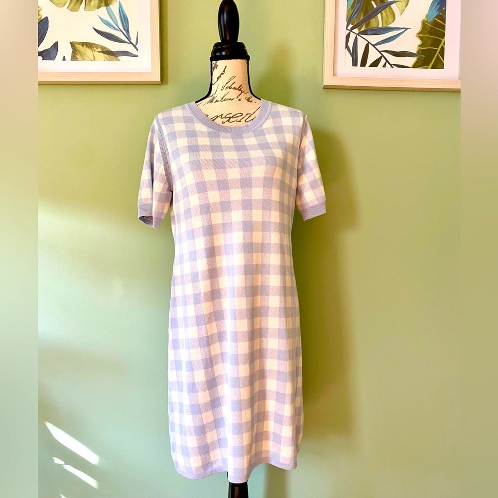 Women’s Free Assembly Blue Plaid Short Sleeve Dress Size Large
